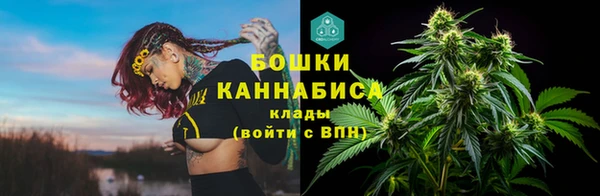 apvp Алзамай
