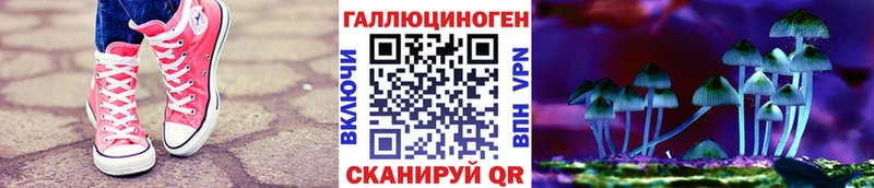Псилоцибиновые грибы GOLDEN TEACHER  Полярные Зори 
